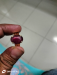 Premium quality Burmese Ruby